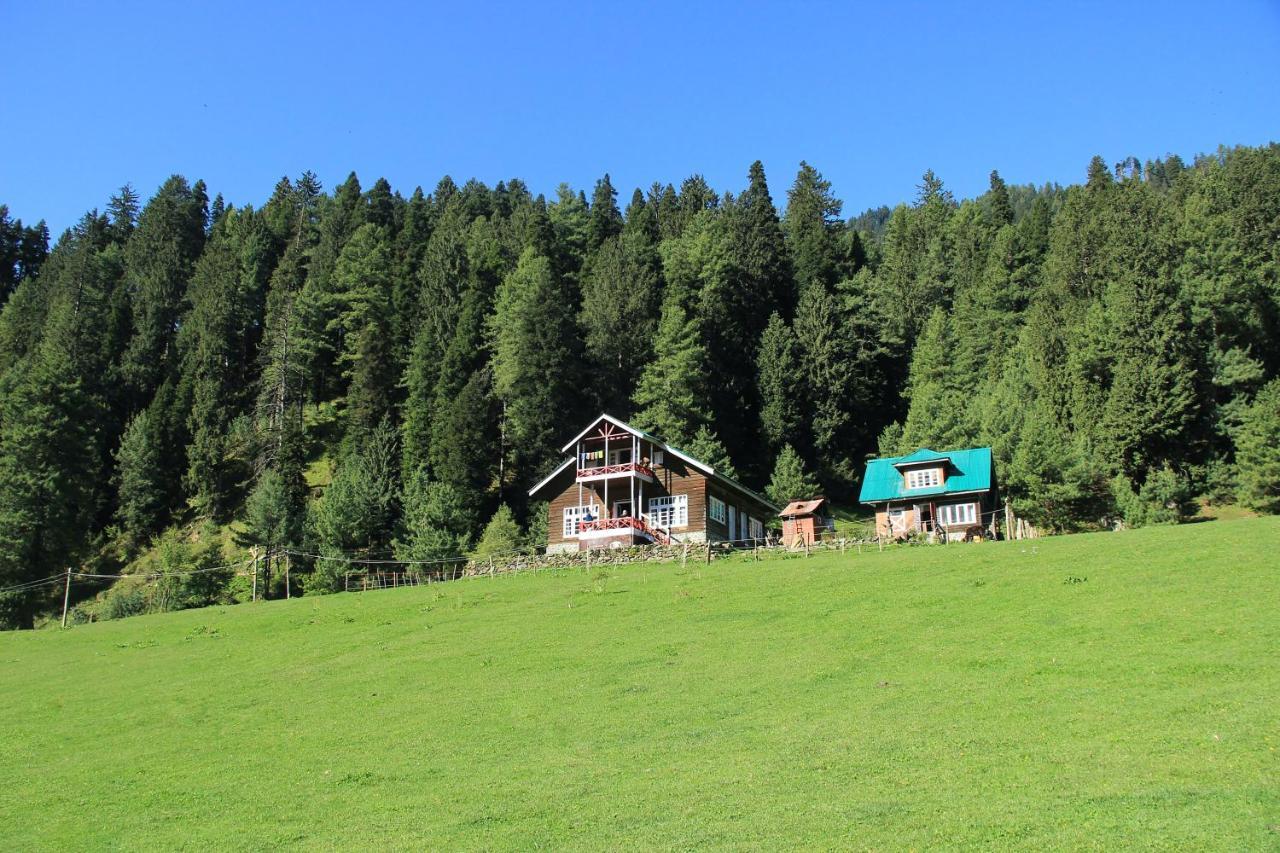 Hotel Peaceful Mornings Srinagar Extérieur photo